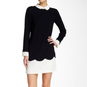 Cece black and white peter pan collar dress